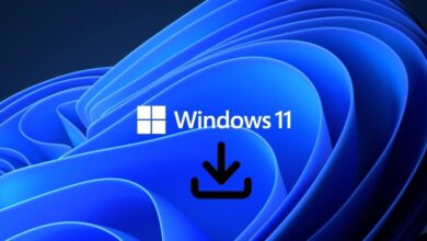 Bedava Windows 11 Pro Lisans Kodları