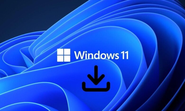 Bedava Windows 11 Pro Lisans Kodları